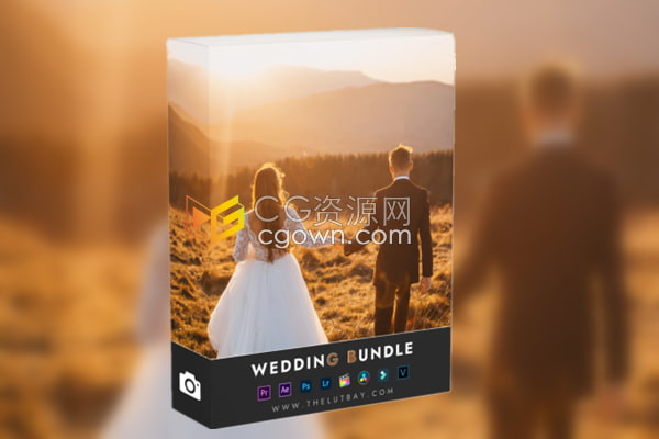 非常实用的婚礼主题Lr预设婚纱照婚庆视频经典婚礼LUTS调色