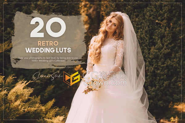 20个复古婚礼LUT调色预设包下载
