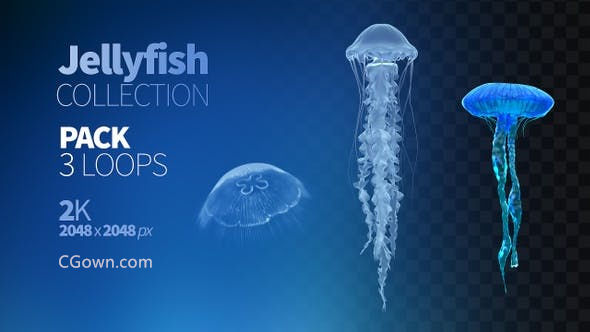 蓝色深海3d水母漂浮游动含Alpha透明通道视频素材下载