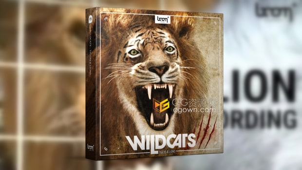 Wildcats Tigers & Lions音效狮子老虎咆哮声嗅探声动画音效928种