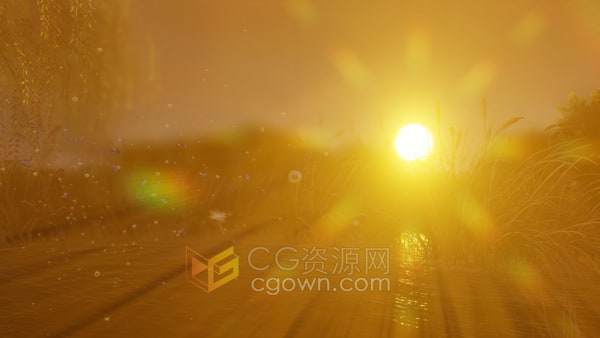 神奇环境美丽日落湖边童话世界飞舞蒲公英和蝴蝶风景视频素材