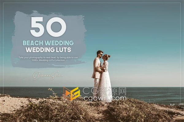 50个海滩婚礼LUT调色预设包免费下载
