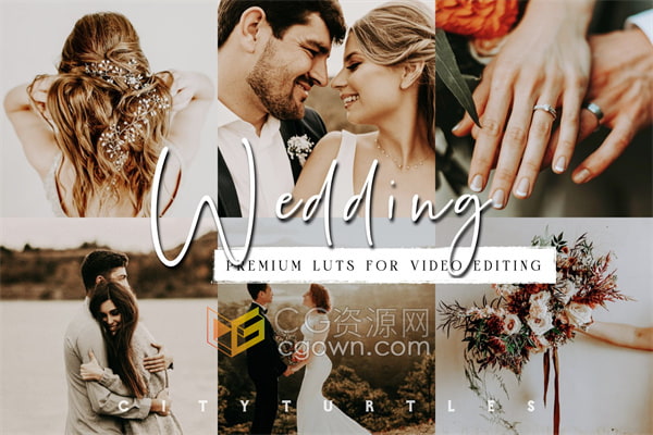 8个华丽彩色LUT和两个高级感黑白色用途广泛适用婚礼调色等