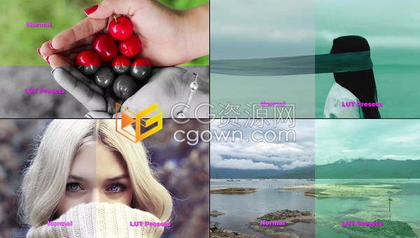 CUBE/3DL/CSP/ICC四种格式LUTs调色预设105种效果软件AE/PR/PS/FCPX/达芬奇中使用