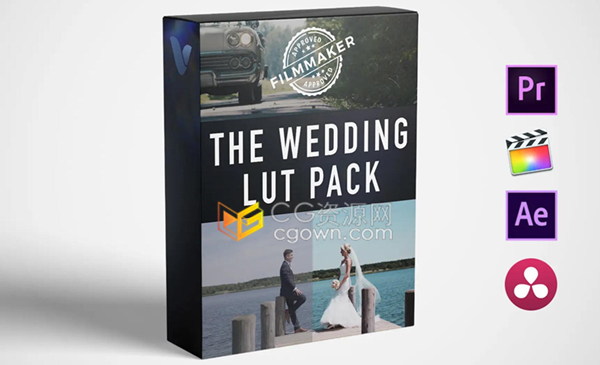 用于婚礼视频调色13组LUTs预设文件还带有实用光效视频素材