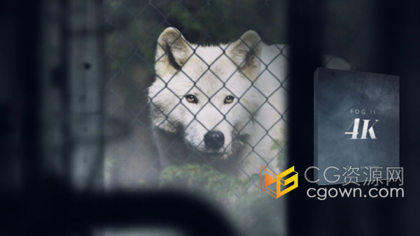 Fog II 4K分辨率34组缥缈雾气雾霾特效合成视频素材