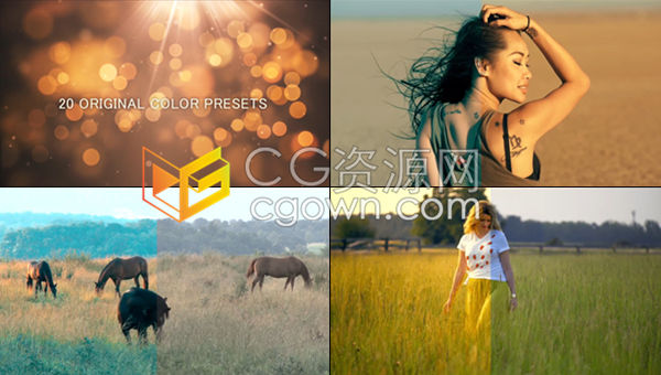 免费下载20组LUTs调色预设包CUBE含Premiere/ Davinci Resolve/ Final Cut Pro使用视频