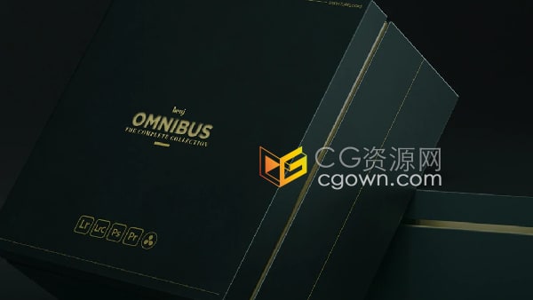 Omnibus包括100个Lightroom预设照片调色+17个视频LUTS预设
