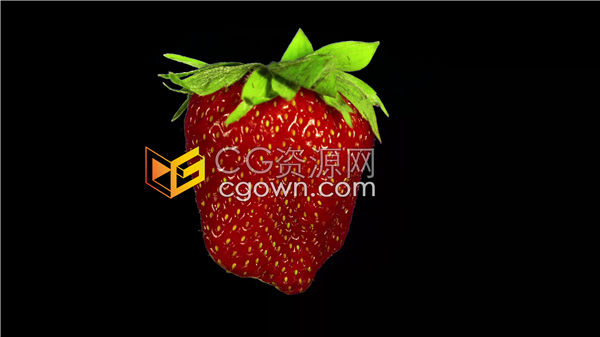 单个旋转展示新鲜草莓视觉效果带Alpha通道视频素材下载