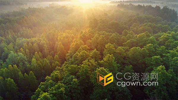 清晨空中俯瞰着茂盛的山区绿林日出实拍视频素材