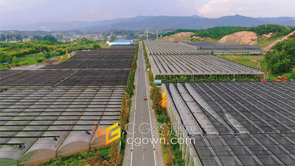 农业航拍现代大规模种植蔬菜基地实拍视频素材