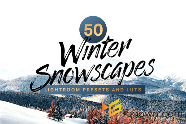 50个冬季Lightroom预设和LUT调色预设实现冬季风景旅行摄影视觉美感
