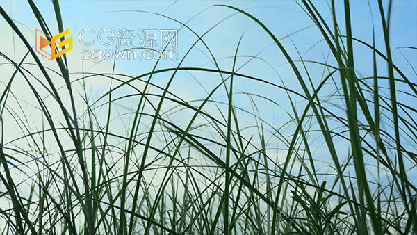 唯美夏季绿植草地自然风景空镜特写实拍视频