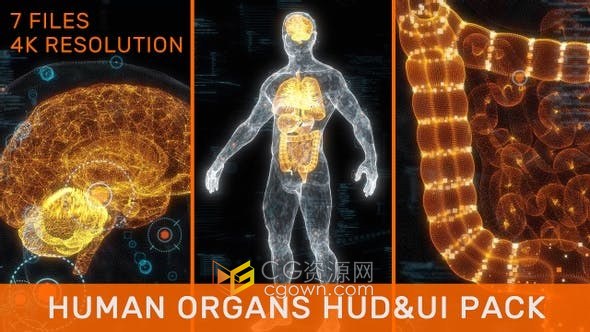 3D人体器官线X射线大脑心肺肝脏肠胃全身HUD UI粒子动画医疗视频素材