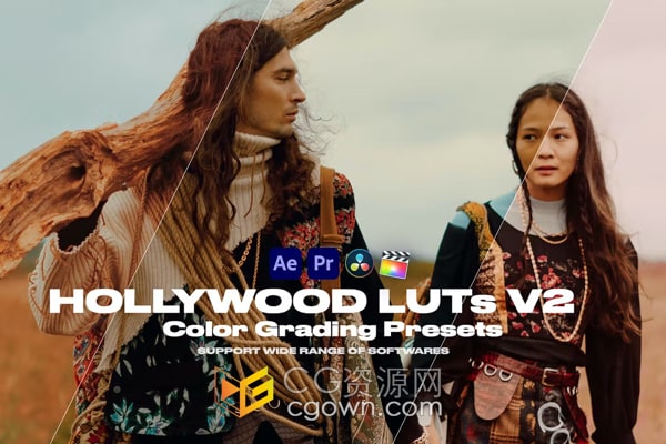 Hollywood LUTs V2 好莱坞电影视频调色预设25组
