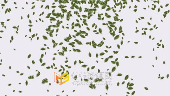 视频素材-白色背景上漫天飘落下的绿叶生态健康环保自然草药宣传素材