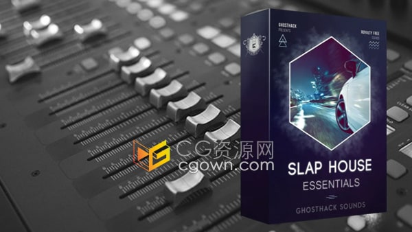Slap House Essentials样本预设MIDI拍打节奏音效素材