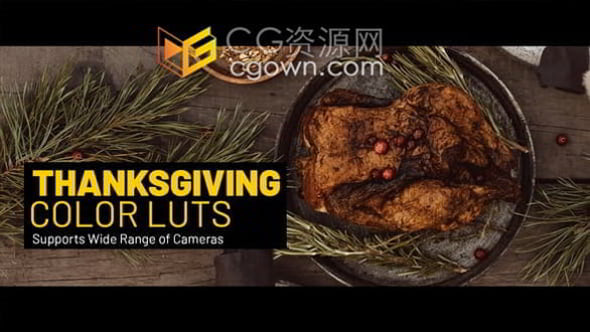 节日庆典浪漫温馨影视级LUTs调色20种预设文件