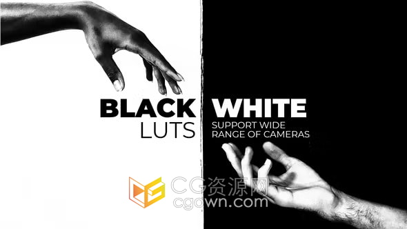 20个经典黑白色调LUT调色预设一键生成复古电影纪录片视频开场白