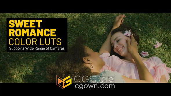 浪漫温馨时尚幸福甜蜜婚礼LUTs调色20种预设文件