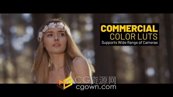 潮流经典时尚广告介绍企业商务LUTs调色51种预设文件