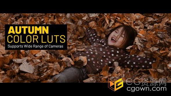 暖色系秋季风格温馨生活季节调色15种LUTs预设文件