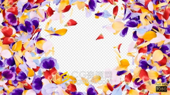 视频素材-缤纷多彩蝴蝶花瓣元素旋转四散揭示品牌标志节日文字