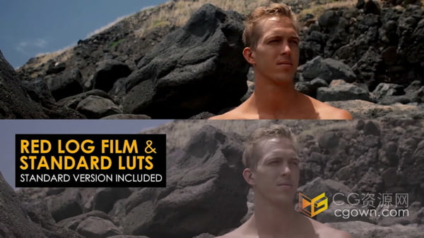 26组LUT预设-Red Log Film与Rec 709颜色分级视频调色