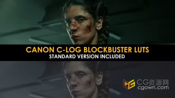 佳能C-Log拍摄大片电影调色颜色分级20个LUTs预设