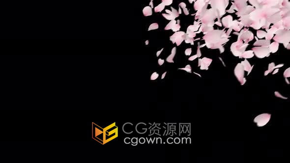 视频素材-樱花花瓣落下转场动画视频素材带透明通道