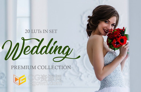 婚礼专业LUTs预设高质量20组效果可用于照片或视频方面带使用教程下载