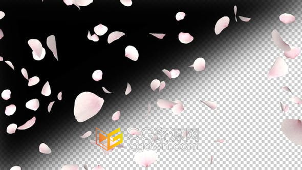 4K视频素材-樱花花瓣飘落动画素材带透明通道