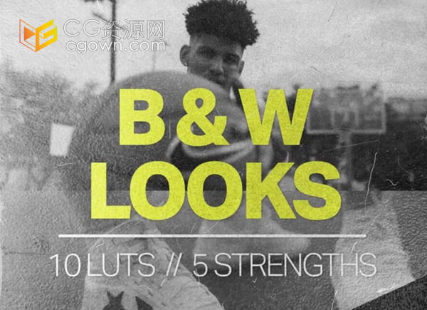 经典黑白色彩LUTS调色预设CUBE文件下载