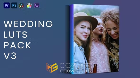 20个时尚色彩校正专业婚礼Luts调色预设免费下载