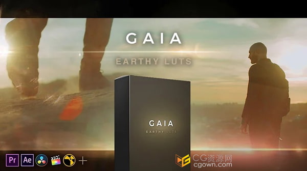 12个LUTS流行大地色调有机柔和自然调色板视频调色预设