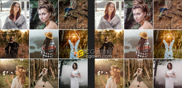 温暖朴实质感金色永恒大地色调LUT适合户外和风景人像