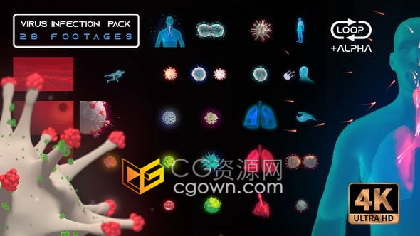 新型冠状病毒感染3D医疗HUD界面人体肺部疾病4K带Alpha通道视频动画元素包下载
