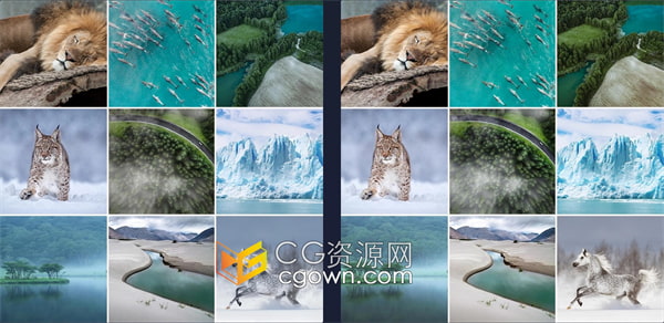 金棕色森林绿色和深蓝色高级LUT提升大自然色彩亮度活力和微妙色调