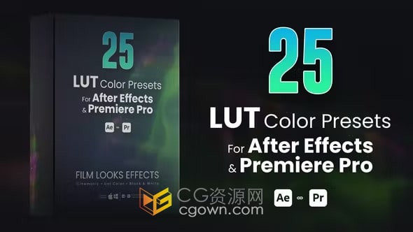 25个LUTs调色预设包括在AE与PR怎么使用视频教程