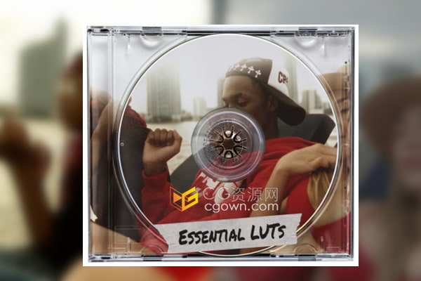 免费下载12个常用调色预设Essential LUT时下流行滤镜效果