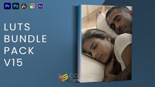 LUT Bundle Pack V15 20组LUTs视频调色预设下载