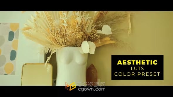 Aesthetic LUTs室内设计美学视频调色LUTs预设12组