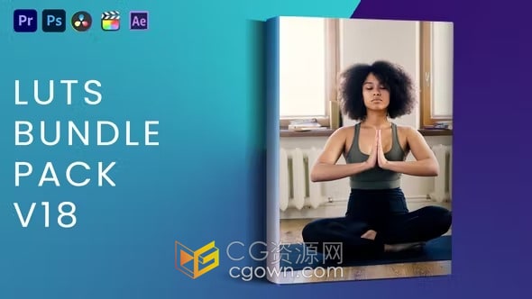 LUTs Bundle Pack V18 LUTs预设视频调色40种
