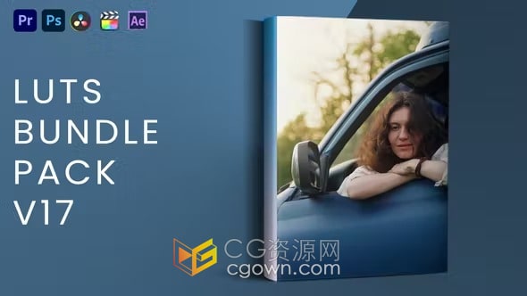 20个LUTs预设视频调色LUTs Bundle Pack V17