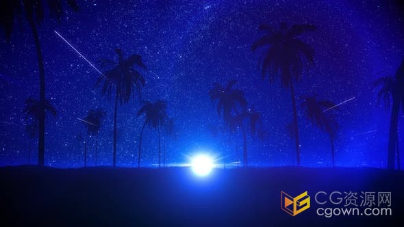 视频素材-夏季美丽热带自然度假村棕榈滩场景蓝色星空夜景