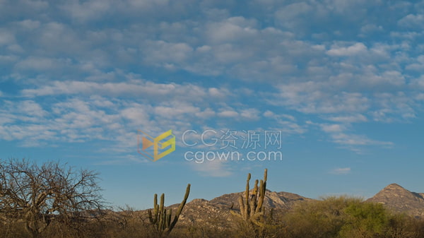 仙人掌和山脉背景延时拍摄蓬松的云朵飘过广阔的蓝天-免费视频素材