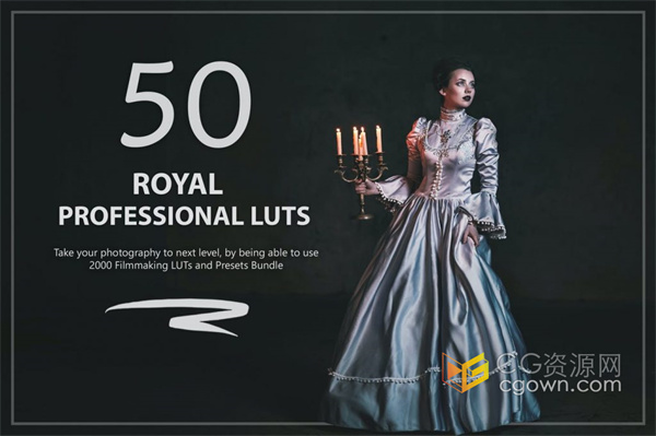 50个高贵皇室宫廷风格皇家LUT和预设包免费下载