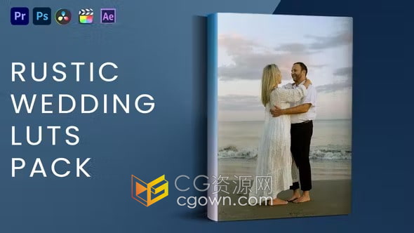 一键获取干净乡村婚礼调色预设Rustic Wedding Luts Pack