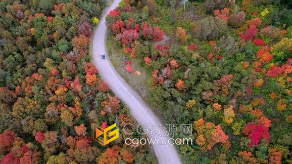 无人机鸟瞰图航拍吉普车蜿蜒穿过秋天森林中间道路视频素材
