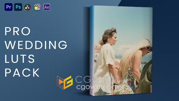 免费下载10个干净大气婚礼照片视频调色LUT预设